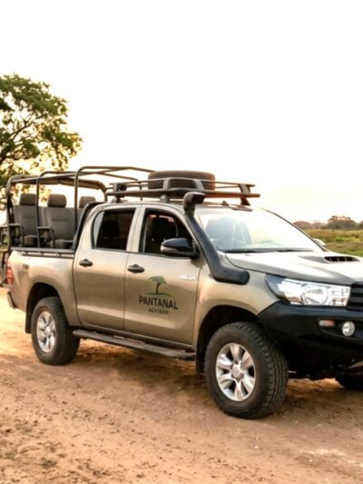 Transports & Rentals