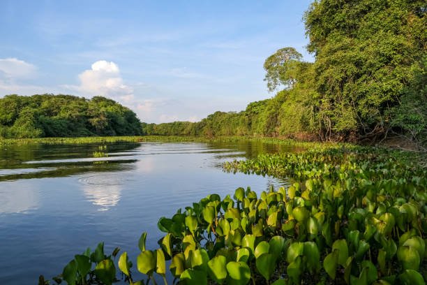 Hotel Pantanal